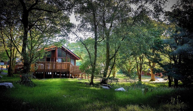 Beddgelert Silver Birch Secluded View, Eryri