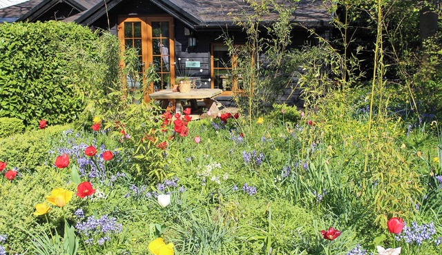 Bluebell Cottage - 27635