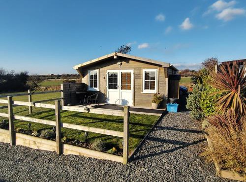 Bumble Bee Cabin
