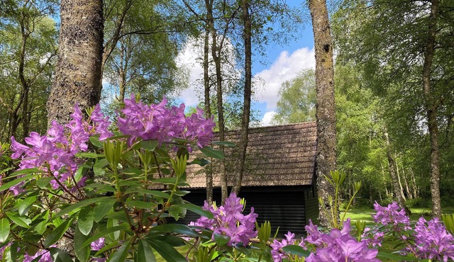 Burnbank Lodges