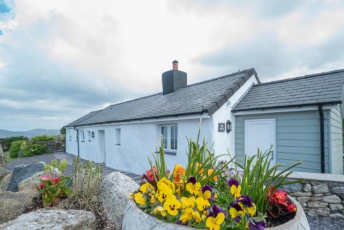 Bwthyn-Plas-Hafod