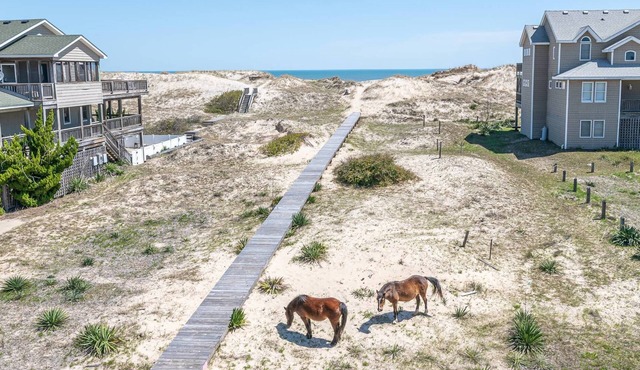 Cavallo Dunes - 4x4 Carova Beach, Oceanfront, Ocean View, Hot Tub, Pets OK, Year Round Flex Stays