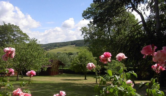 Cedar Lodge - sleeps 4 guests in 2 bedrooms