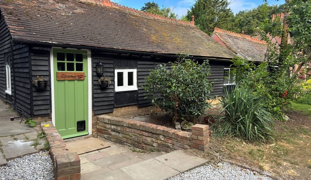 Charming Cottage within Ancient Woodland Forest