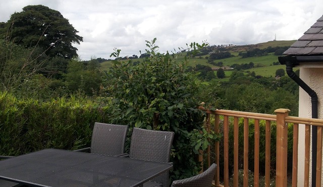 Cobden View