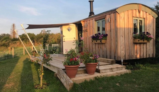 Cosy hut on our Somerset farm with great views, stove and wood fired hot tub