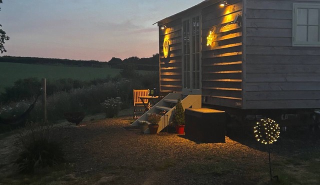 Cosy Luxury Foxglove Hut With Private Fire Bowl