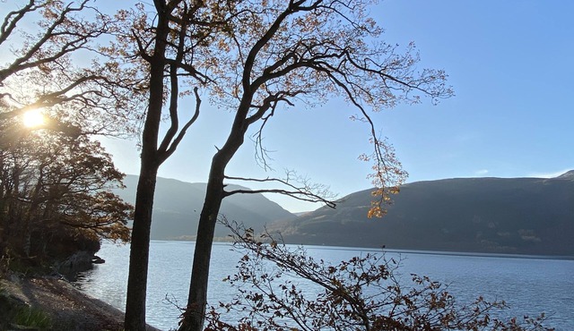 Cozy cabin retreat on the bonnie banks of Loch Lomond.