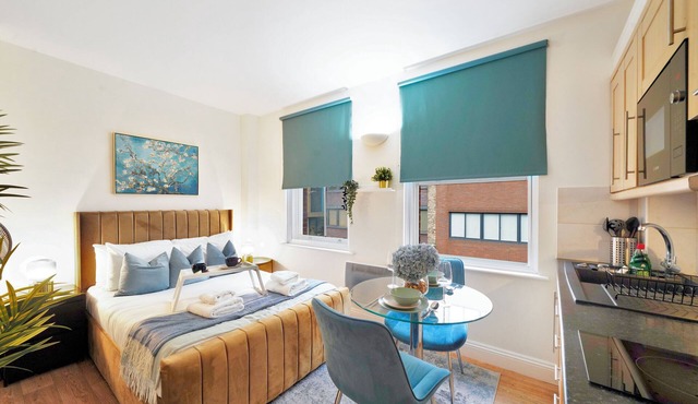 Cozy Studio in the Heart of the City of London B