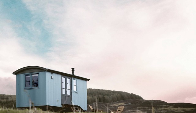 Curlew Shepherds Hut - UK7628
