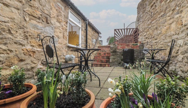 Daisy Cottage