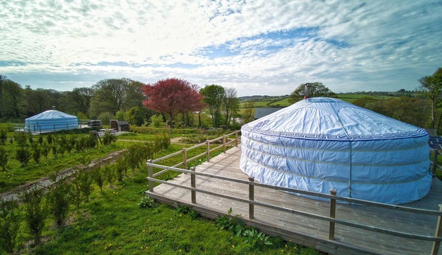 Damaris - A spacious Mongolian-inspired Yurt in stunning eco-friendly estate near Newquay