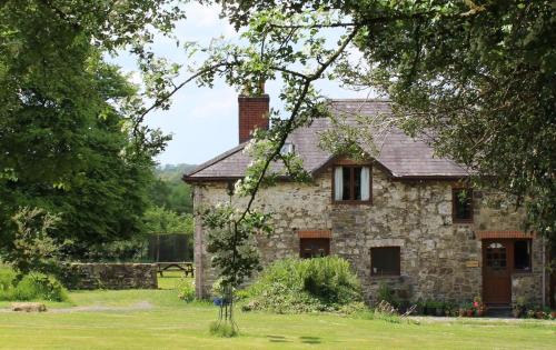 David's Organic Farm Wales