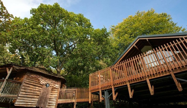 Deerpark Classic Golden Oak Treehouse, Liscard