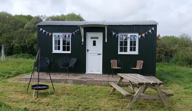 Dinky's Den, a Beautiful Tiny Home