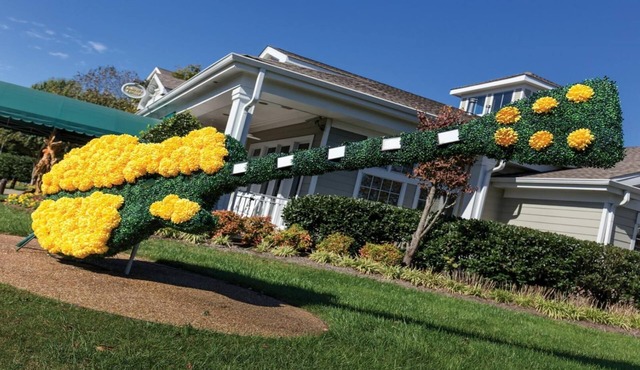 Discover the Heart of Music City at Wyndham Nashville – 2 Bd. Dxl-Family Getaway