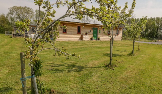 DOWN THE RABBIT HOLE, pet friendly, with a garden in Congresbury