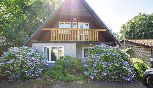 Elys Lodge, Hengar Manor