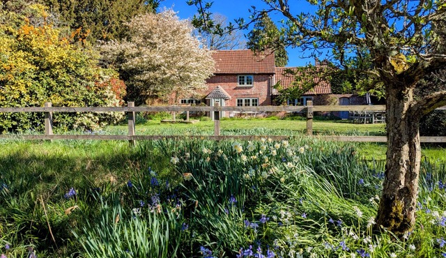 Evergreen - A charming & historic cobb cottage