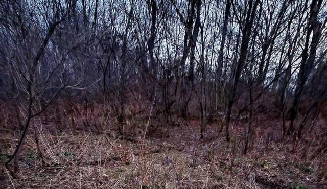 Exploring Limits Wilderness Retreat in Youngstown