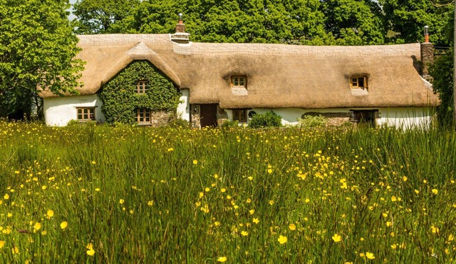 Farmhouse Cottage - C12th Thatched Cottage