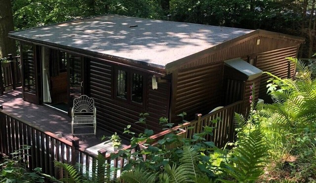 Forest retreat, 2 bed Wooden Cabin in the Lakes