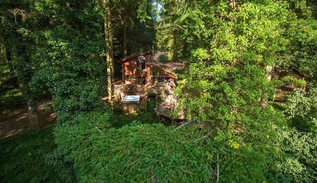Glentress Forest Golden Oak Treehouse, Peebles