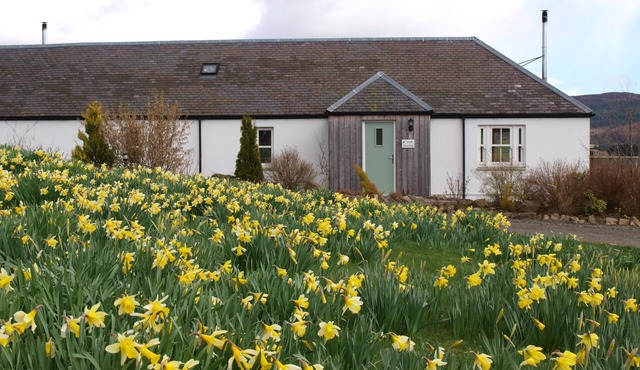 Gorgeous 2 Bed Cottage Near Glenshee. Hot tub, Garden, Child & Pet Friendly