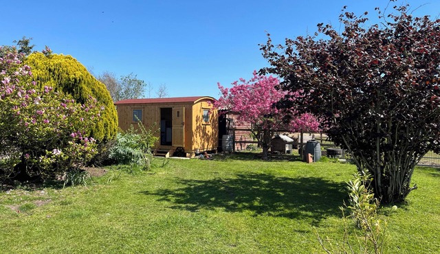 HAZEL, pet friendly, with a garden in Downham Market