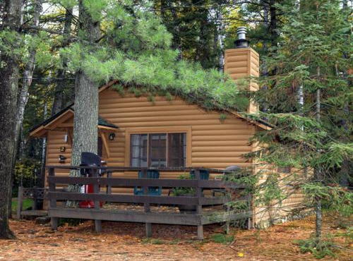 Hidden Gem - Traditional Cabin - 2 Bedroom - Parking - Wi-Fi Netflix CB02 in Babbitt