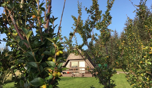 High Quality Scottish Highland Lodge in Glenlivet perfectly located and equipped