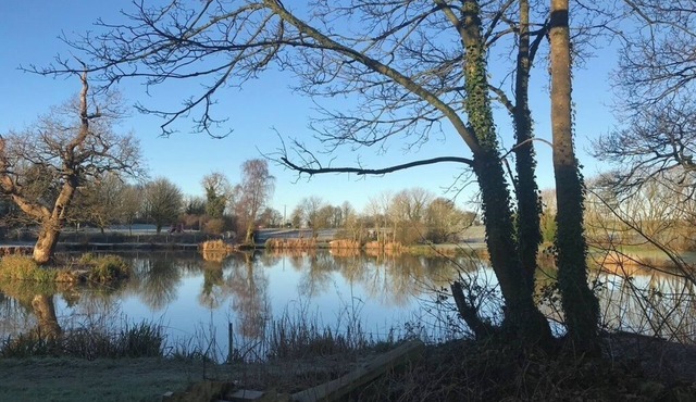 Lake House Annexe - quiet countryside retreat close to Bristol, Bath and Wells.