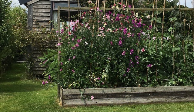 large cabin in enclosed garden with own parking ,stunning views ,pet friendly