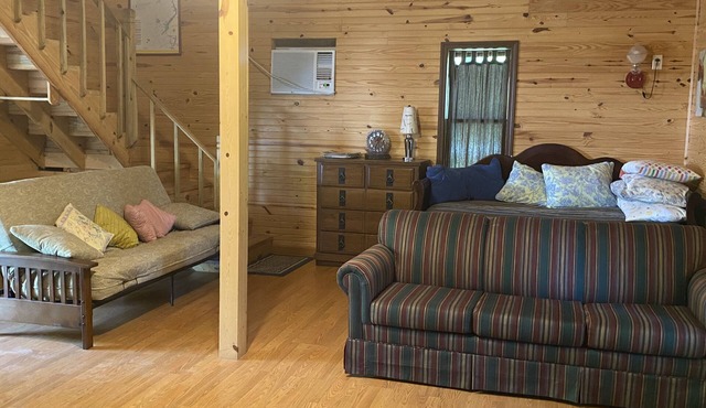 Little Tracks Cabins
