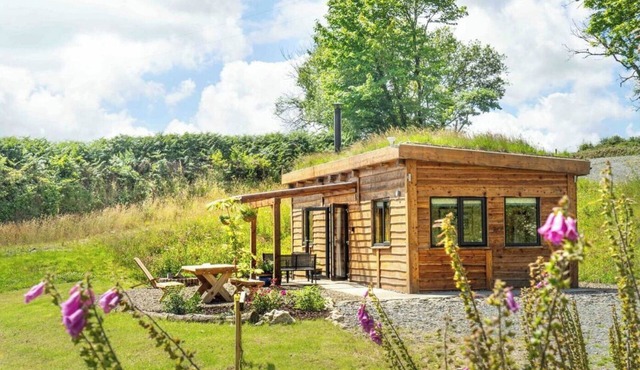 Living Roof Log Cabin Overlooking Private Woodland