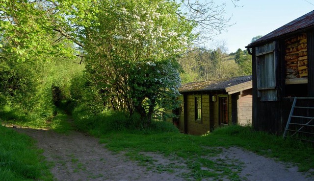 Log Cabin