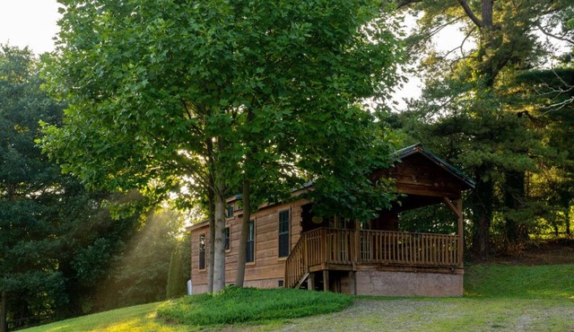Looking Glass Cabin - Engadine Inn and Cabins