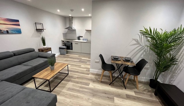 Luxury Apartment Wifi/Netflix