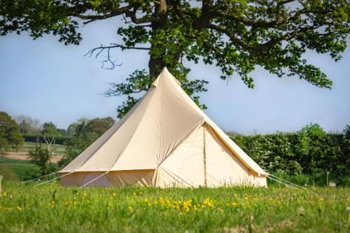 Luxury Bell Tent - Cheshire Countryside