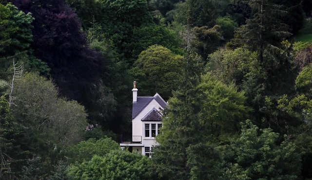 Luxury country house set in its own little forest