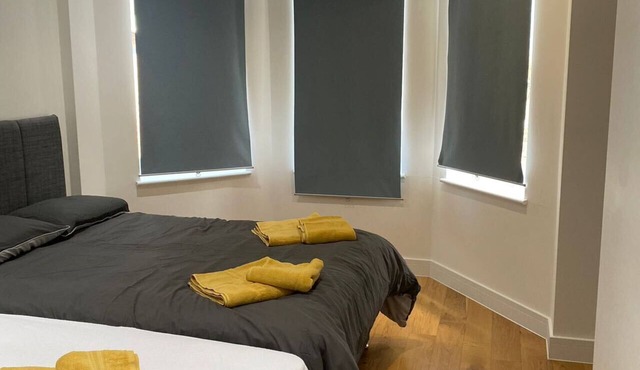 Luxury Flat Near Greenwich Park