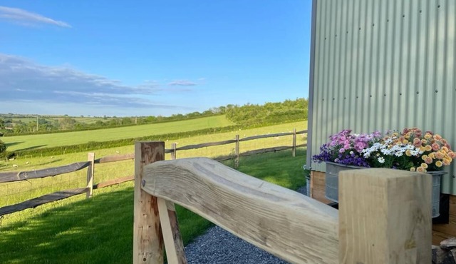 Luxury Shepherd Hut on Small South Devon Farm