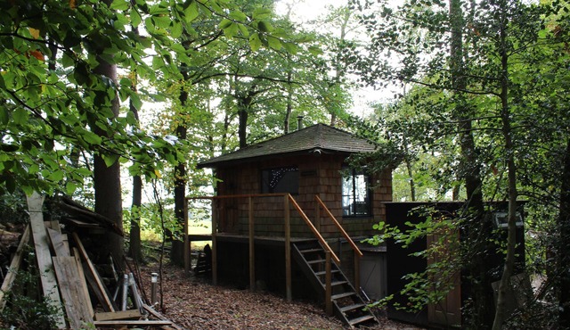 Magical Treehouse/Cabin hidden in Ancient Woodland