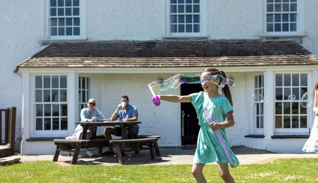 Mill House