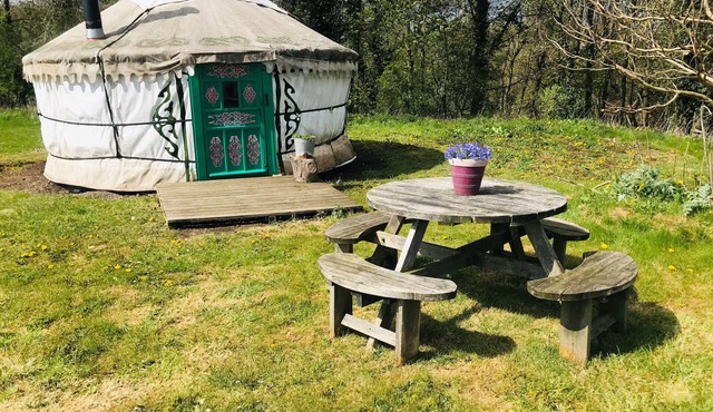 Myrtle, a cosy Mongolian yurt, nestled in field and woodland surroundings
