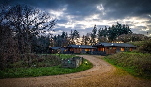 New Forest Lodges