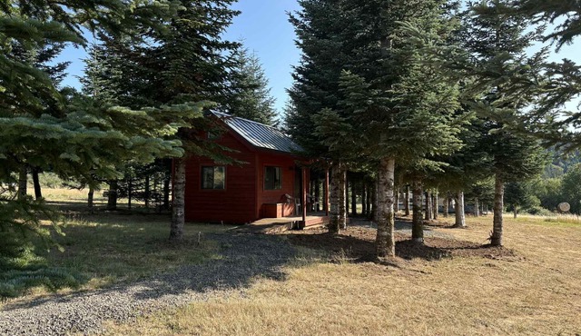 Noble Forest Cabin in Eugene