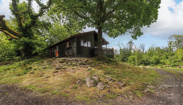 OAK LODGE, pet friendly, character holiday cottage in Porthyrhyd