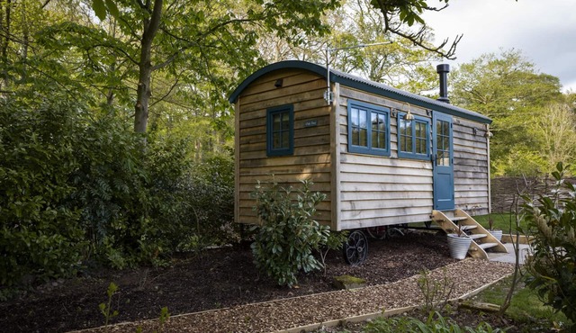 Oak Tree Shepherd's Hut Chatsworth Estate