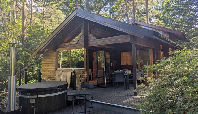 Onni - cosy forest cabin with hot tub option